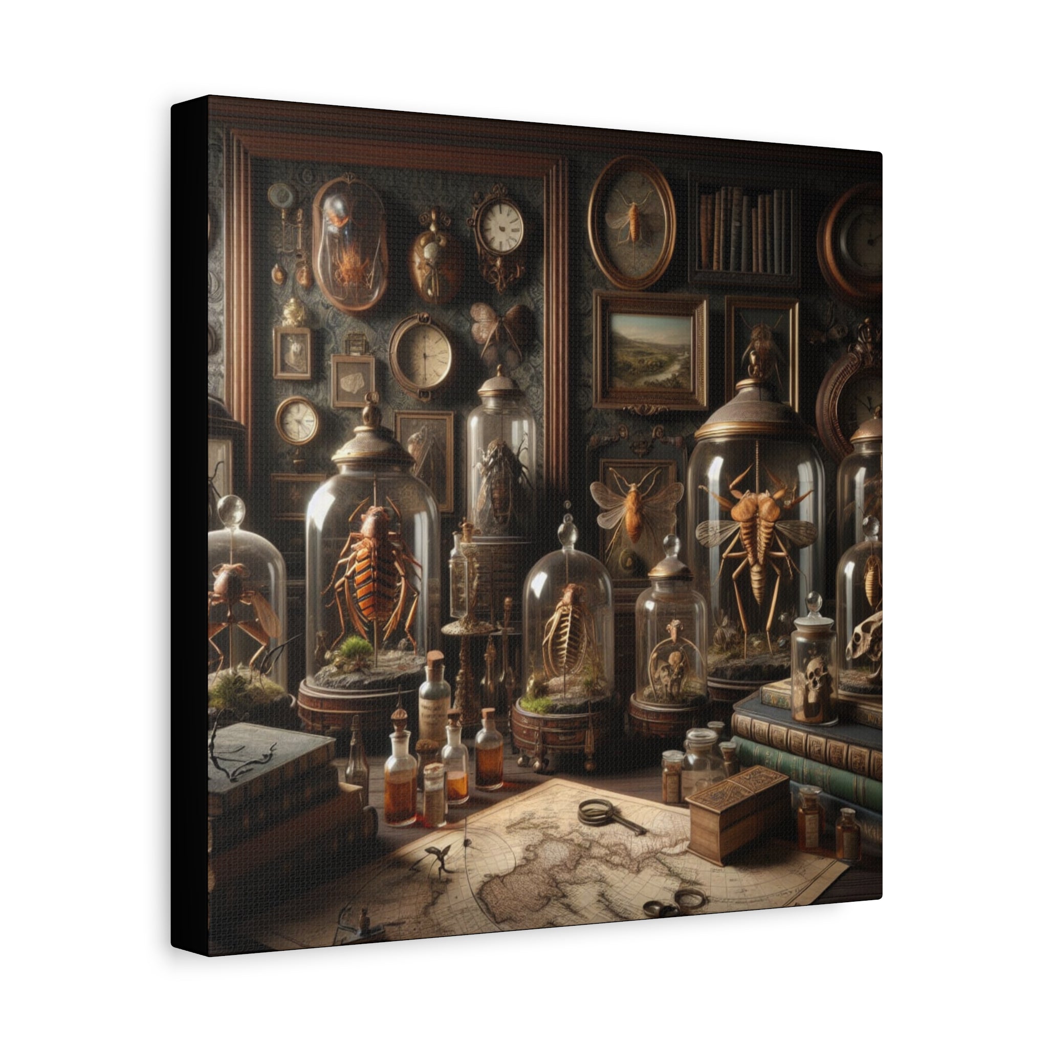 Curiosities Stretched Canvas Print of Curiosities, Wall Art, Home Decor, Gothic Decor, Steampunk Artwork