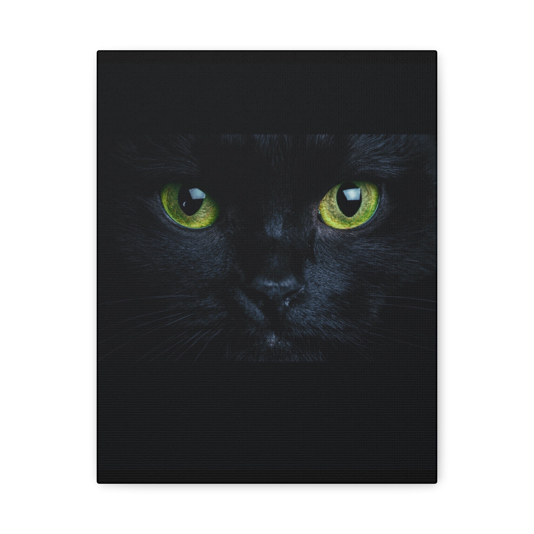 Green Eyes Black Cat Wall Art, Canvas Print, Home Decor, Cat Lover Gift, Halloween Decor, Animal Art