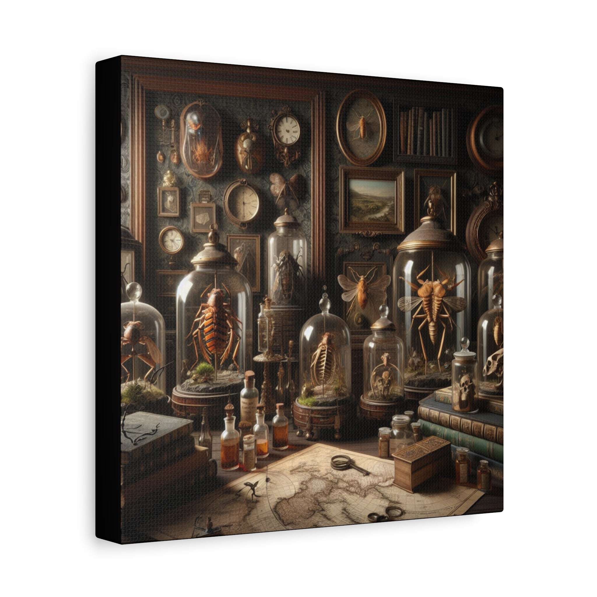 Curiosities Stretched Canvas Print of Curiosities, Wall Art, Home Decor, Gothic Decor, Steampunk Artwork